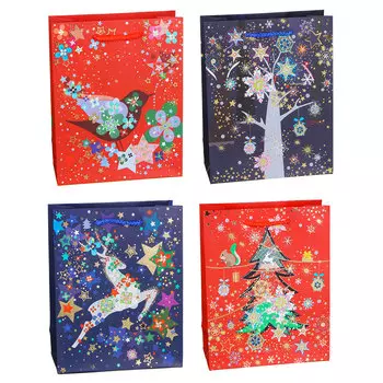 Пакет подарочный СНОУ БУМ 23х18х8 см, бумага высокого качества с блеском, 4 дизайна, арт 19