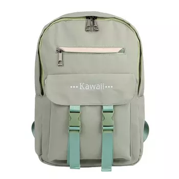 Рюкзак подростковый 39,5x27,5x11,5см, 1 отд., 5 карм., клапан на 2х застежках, зеленый, ПЭ