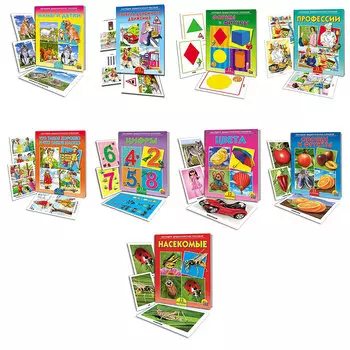 РЫЖИЙ КОТ Дидактическое пособие "Мир вокруг нас", картон, 16,5х21,5см, 12 дизайнов