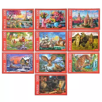 РЫЖИЙ КОТ Пазлы 1000 деталей, картон, 68,5х48,5см/67х42см, 10 дизайнов, РК1000-7798