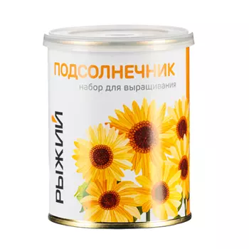 РЫЖИЙ Набор для выращивания Подсолнечник