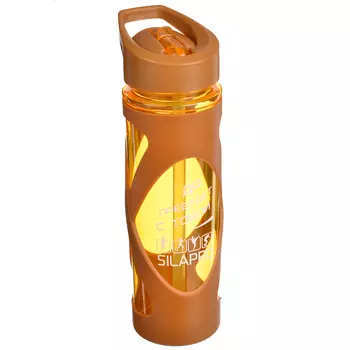 Шейкер для спортивного питания, 0,55 л, 23х6,5 см, SILAPRO