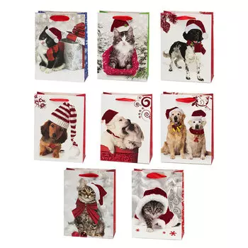 СНОУ БУМ Пакет бумажный подарочный, 18х24х8см, арт.2104-18, 8 дизайнов