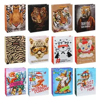 СНОУ БУМ Пакет подарочный, 24х18х7см, бумага, 12 дизайнов, арт.2022-9