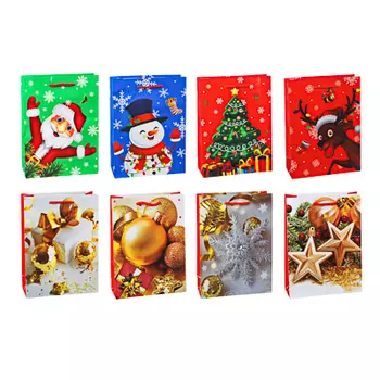 СНОУ БУМ Пакет подарочный, 24х18х7см, бумага, 8 дизайнов, арт.2021-18