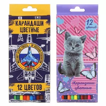 Свит Китти / Фланкер Карандаши цветные, 12 цветов, шестигранные заточенные, дерево, в карт.коробке