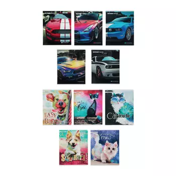 Тетрадь 48л. в кл., офсет, обл.картон, скрепка, "Машины / Милые животные", УФ лак, 10128 / HA4