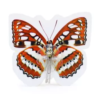 ВЕСЕЛЫЙ РОДЖЕР Крючок самоклеящийся на блистере, 1шт, цветной, "Бабочки"