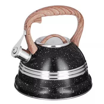 VETTA Чайник стальной 2,7л "Доминго", индукция