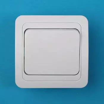 Выключатель одноклавишный, основание керамика, 10А 250В Classic 2021 PowerMan