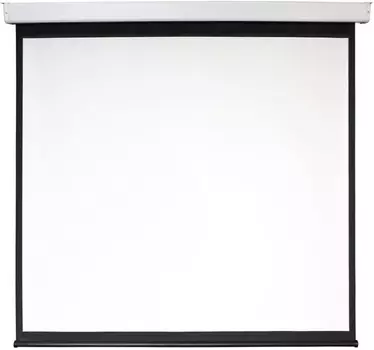 Экран Digis для проекторов DSEF-16904 черный