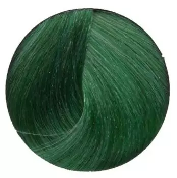 ALFAPARF MILANO Краситель прямого действия / Pure Green rEvolution Color 90 мл