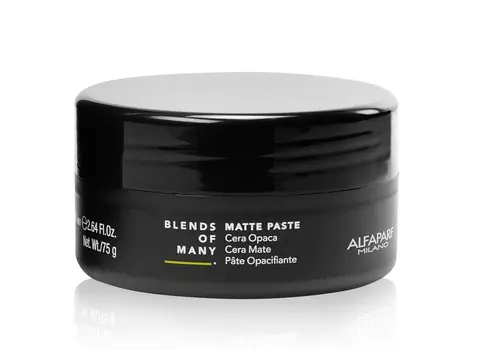 ALFAPARF MILANO Паста для волос матовая средней фиксации / MATTE PASTE 100 мл