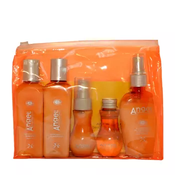 ANGEL PROFESSIONAL Набор миниатюр для волос от перхоти в косметичке Angel Professional