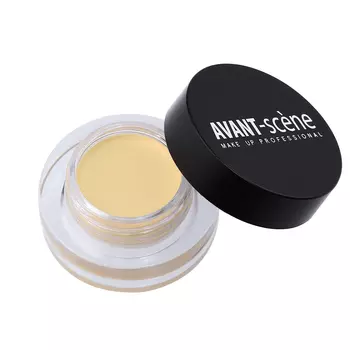 AVANT SCENE Корректор универсальный, №21 / Hidden Spot Concealer 3 г