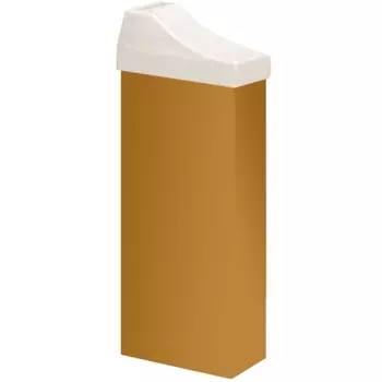 BEAUTY IMAGE Кассета с желтым воском (лицо) / ROLL-ON 110 мл