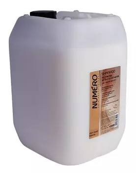 BRELIL PROFESSIONAL Шампунь с маслом карите для сухих волос / Numero 10 л