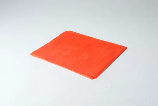 ЧИСТОВЬЕ Простыня спанбонд 200 х 70 см оранжевый 30 г/кв.м 10 шт/уп