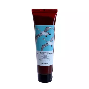 DAVINES SPA Кондиционер увлажняющий для здоровья волос / Well-Being NATURAL TECH 150 мл