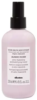 DAVINES SPA Спрей-праймер для укладки волос / Your Hair Assistant Blowdry primer 250 мл