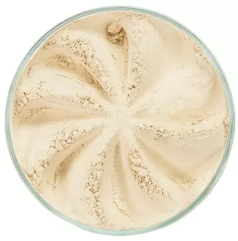 ERA MINERALS Праймер минеральный PR301 / Primer 7 г