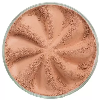 ERA MINERALS Румяна минеральные BL111 / Blush 3 г