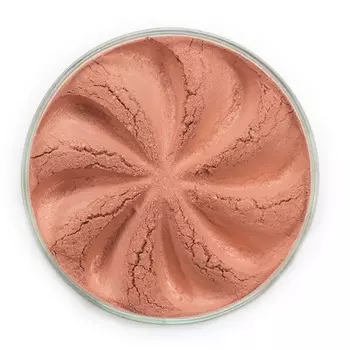 ERA MINERALS Румяна минеральные BL303 / Blush 2,5 г