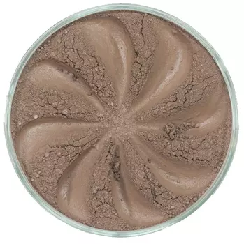 ERA MINERALS Тени минеральные T10 / EU Twinkle 1 г