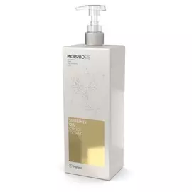 FRAMESI Кондиционер на основе арганового масла для волос / MORPHOSIS SUBLIMIS OIL CONDITIONER 1000 мл
