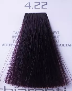 HAIR COMPANY 4.22 краска для волос / HAIR LIGHT CREMA COLORANTE 100 мл
