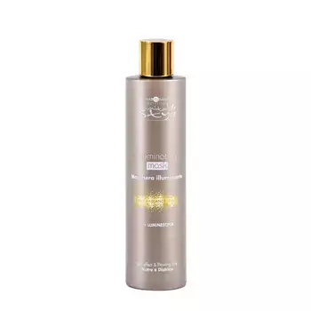 HAIR COMPANY Маска придающая блеск / Illuminating Mask INIMITABLE STYLE 200 мл