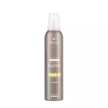 HAIR COMPANY Мусс придающий блеск сверхсильной фиксации / Illuminating Extreme Styling Foam 250 мл