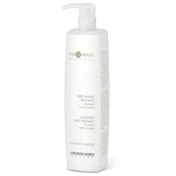 HAIR COMPANY Шампунь очищающий для волос / Cleansing Base Treatment DOUBLE ACTION 1000 мл