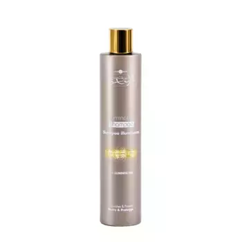 HAIR COMPANY Шампунь придающий блеск / Illuminating Shampoo INIMITABLE STYLE 250 мл