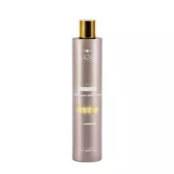 HAIR COMPANY Шампунь разглаживающий / INIMITABLE STYLE 250 мл