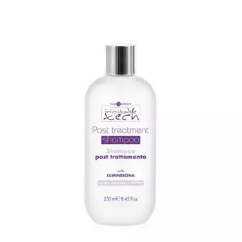 HAIR COMPANY Шампунь стабилизирующий / INIMITABLE TECH 250 мл