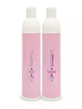 HONMA TOKYO Набор для восстановления и разглаживания волос (шампунь 250 мл, маска реконструктор 250 мл) H-Brush Botox Capilar White Care