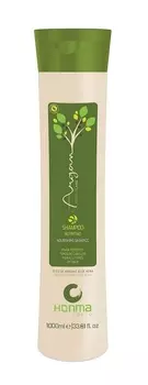 HONMA TOKYO Шампунь увлажняющий с маслом Арганы для склонных к сухости волос / Argan Perfect Care 1000 мл