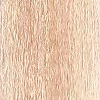 INSIGHT 10.2 краска для волос, перламутровый супер светлый блондин / INCOLOR 100 мл