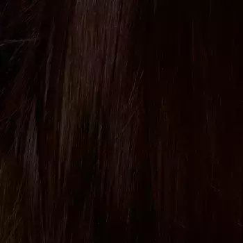 INSIGHT 3.05 краска для волос, шоколадный темно-коричневый / CHOCOLATE DARK BROWN 100 мл