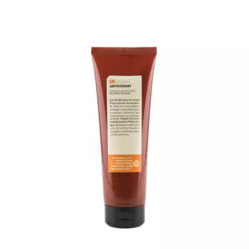 INSIGHT Маска антиоксидант для перегруженных волос / ANTIOXIDANT 250 мл