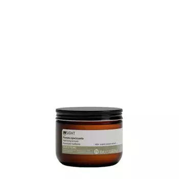 INSIGHT Помада моделирующая для укладки волос с матирующим эффектом / MATTIFYING POMADE 90 мл