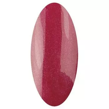 IRISK PROFESSIONAL 010 гель-лак для ногтей, овен / Zodiak 10 г