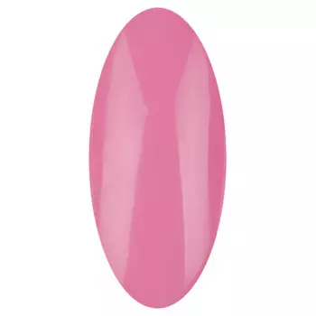 IRISK PROFESSIONAL 011 гель-лак для ногтей / АВС 8 мл