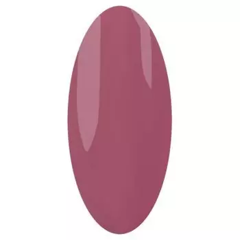 IRISK PROFESSIONAL 030 гель-лак для ногтей, телец / Zodiak 10 г