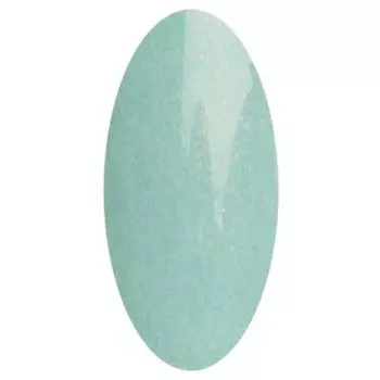 IRISK PROFESSIONAL 040 гель-лак для ногтей, телец / Zodiak 10 г