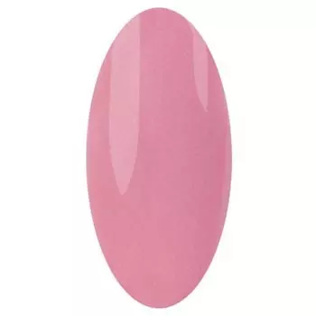 IRISK PROFESSIONAL 058 гель-лак для ногтей, близнецы / Zodiak 10 г