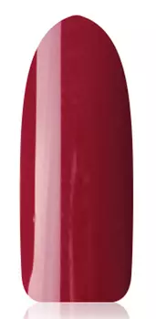 IRISK PROFESSIONAL 091 гель-лак для ногтей, лев / Zodiak 10 г