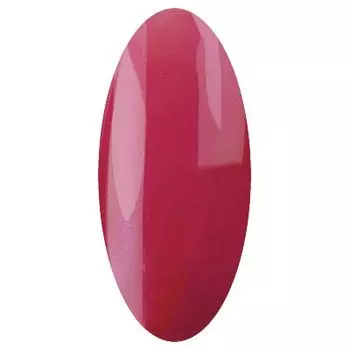 IRISK PROFESSIONAL 190 гель-лак для ногтей, козерог / Zodiak 10 г