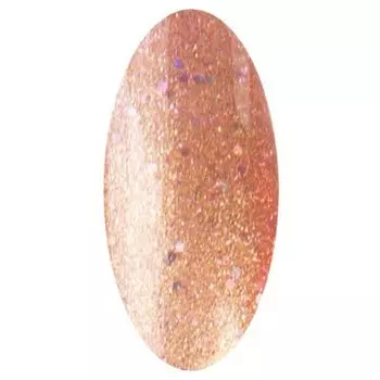 IRISK PROFESSIONAL 195 гель-лак для ногтей, козерог / Zodiak 10 г